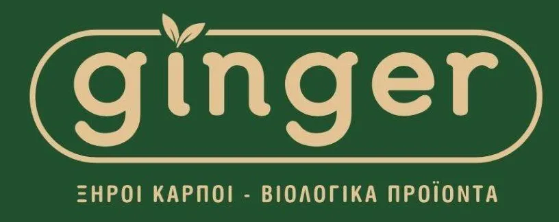 GINGER logo