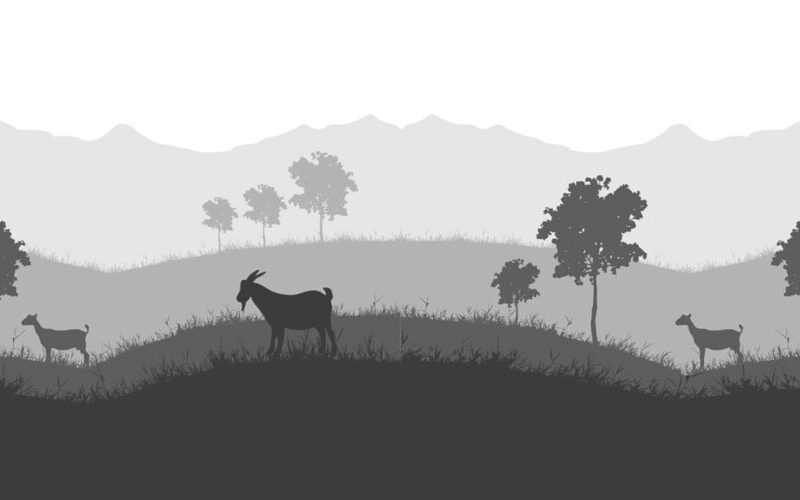 2026 - Interbrain - Digital Marketing - tyrokomio footer no color 1000x500 1 -