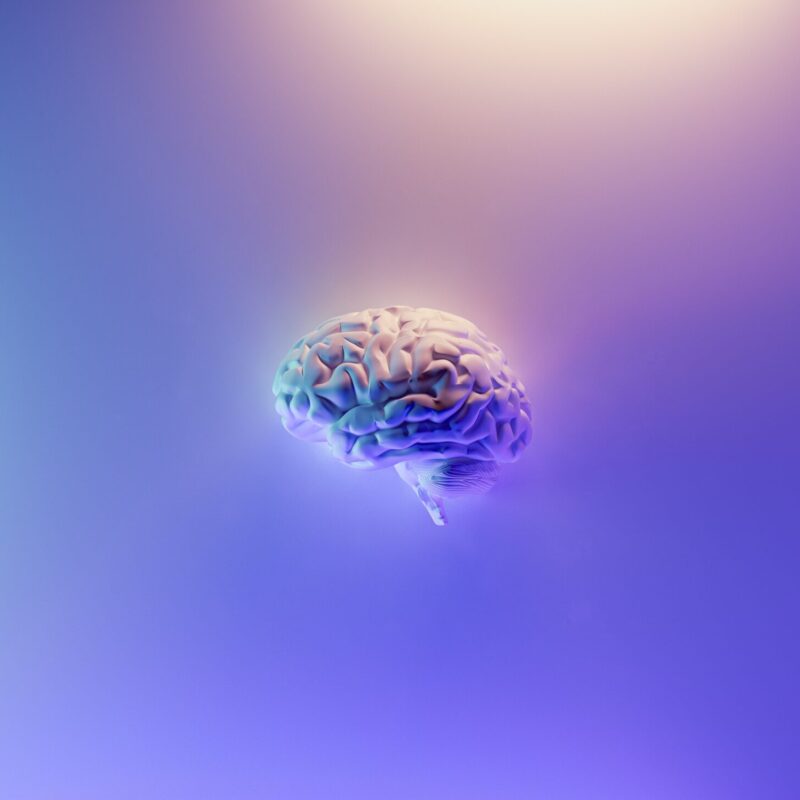 2026 - Interbrain - Digital Marketing - teens neuro -